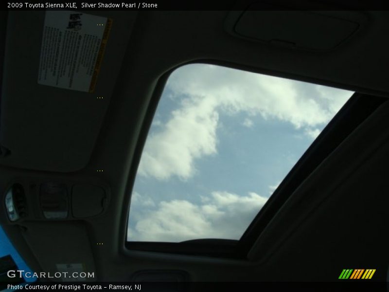 Silver Shadow Pearl / Stone 2009 Toyota Sienna XLE
