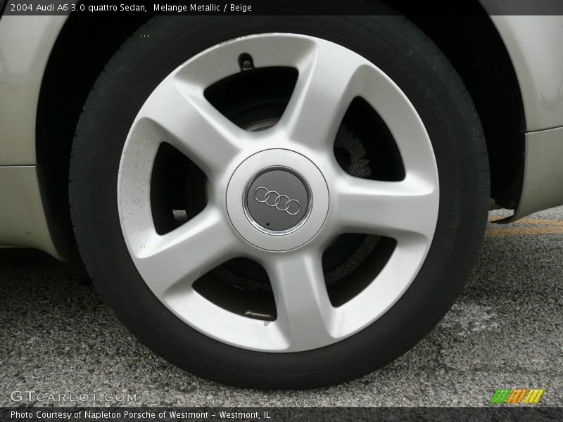 Melange Metallic / Beige 2004 Audi A6 3.0 quattro Sedan