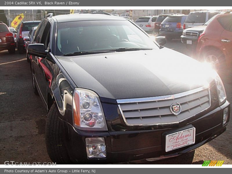 Black Raven / Ebony 2004 Cadillac SRX V6