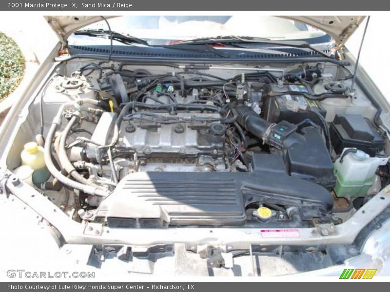 Sand Mica / Beige 2001 Mazda Protege LX