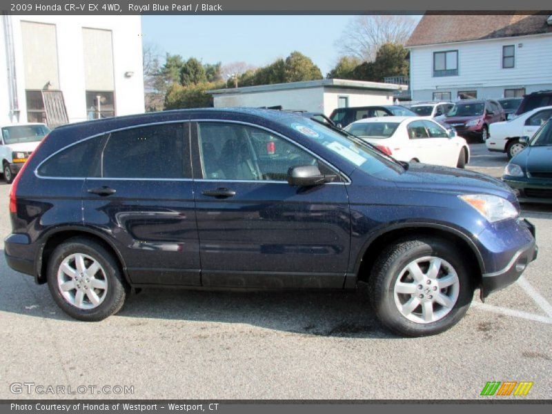 Royal Blue Pearl / Black 2009 Honda CR-V EX 4WD