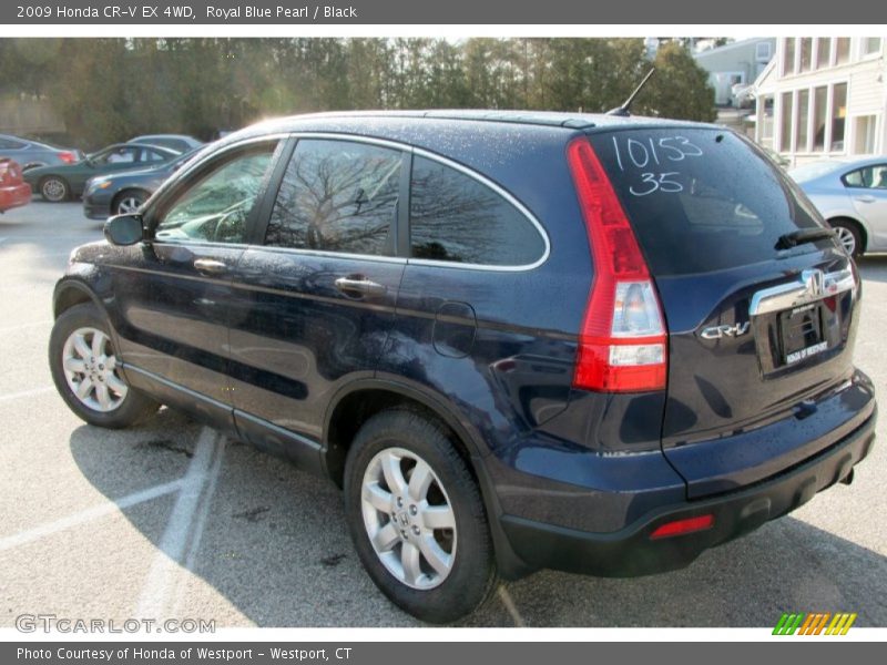 Royal Blue Pearl / Black 2009 Honda CR-V EX 4WD