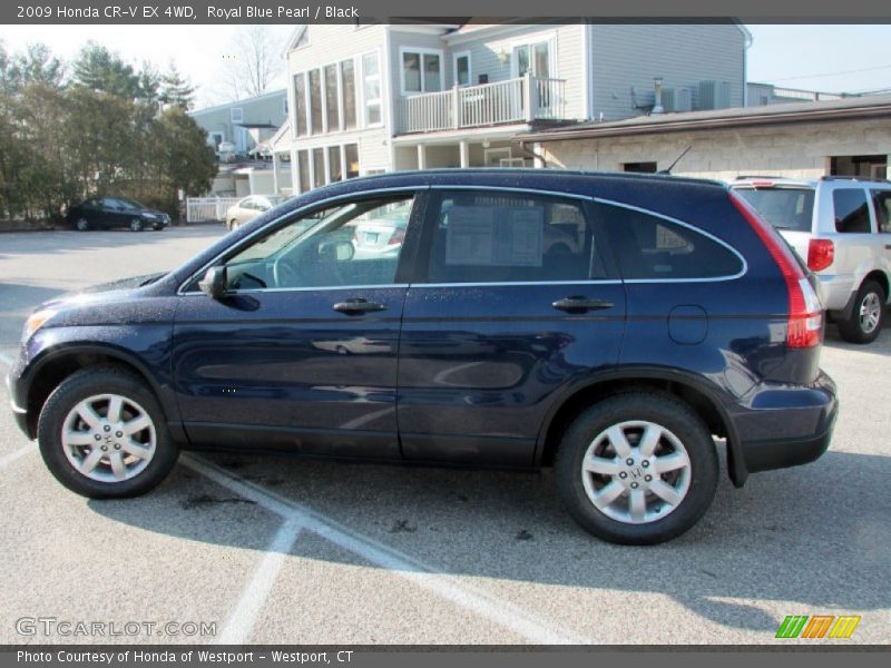 Royal Blue Pearl / Black 2009 Honda CR-V EX 4WD