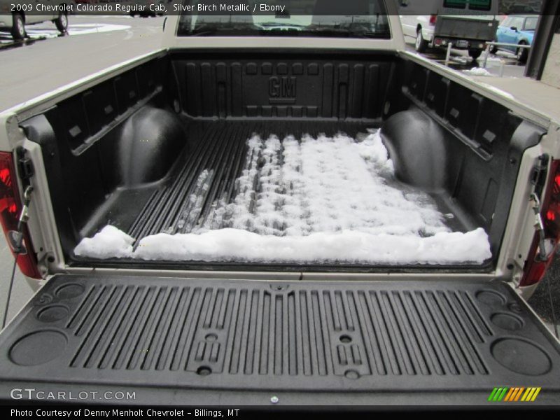 Silver Birch Metallic / Ebony 2009 Chevrolet Colorado Regular Cab