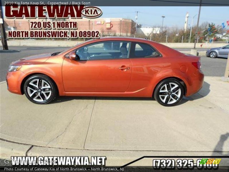 Copperhead / Black Sport 2010 Kia Forte Koup SX