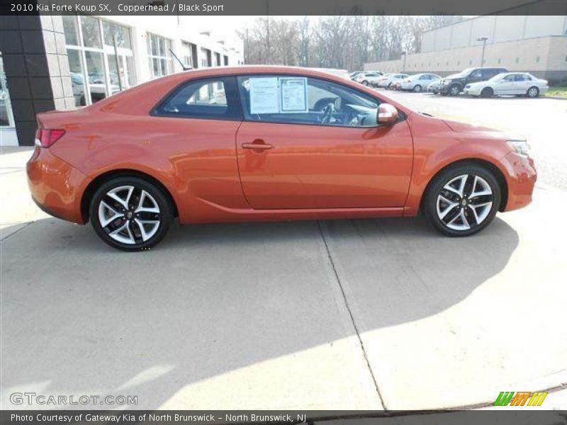 Copperhead / Black Sport 2010 Kia Forte Koup SX