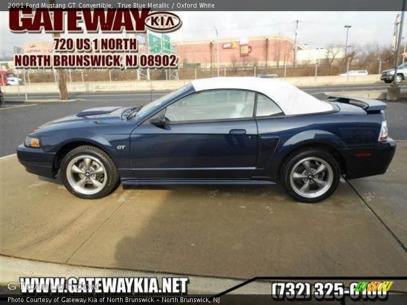 True Blue Metallic / Oxford White 2001 Ford Mustang GT Convertible