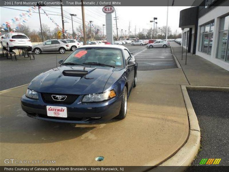 True Blue Metallic / Oxford White 2001 Ford Mustang GT Convertible