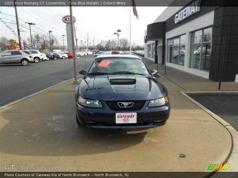 True Blue Metallic / Oxford White 2001 Ford Mustang GT Convertible