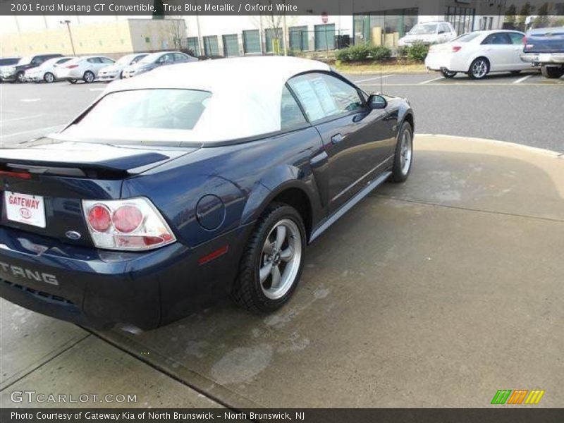 True Blue Metallic / Oxford White 2001 Ford Mustang GT Convertible