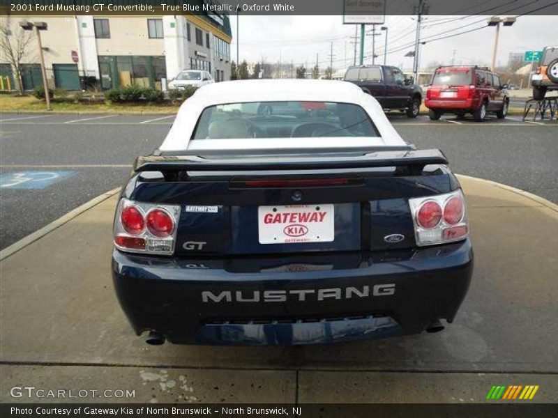 True Blue Metallic / Oxford White 2001 Ford Mustang GT Convertible