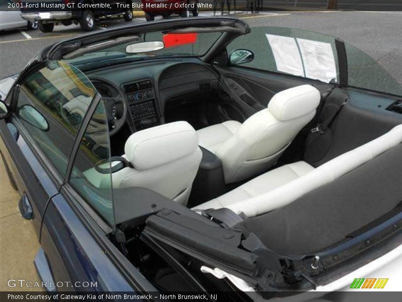 True Blue Metallic / Oxford White 2001 Ford Mustang GT Convertible