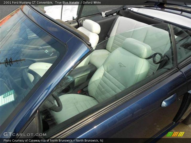 True Blue Metallic / Oxford White 2001 Ford Mustang GT Convertible