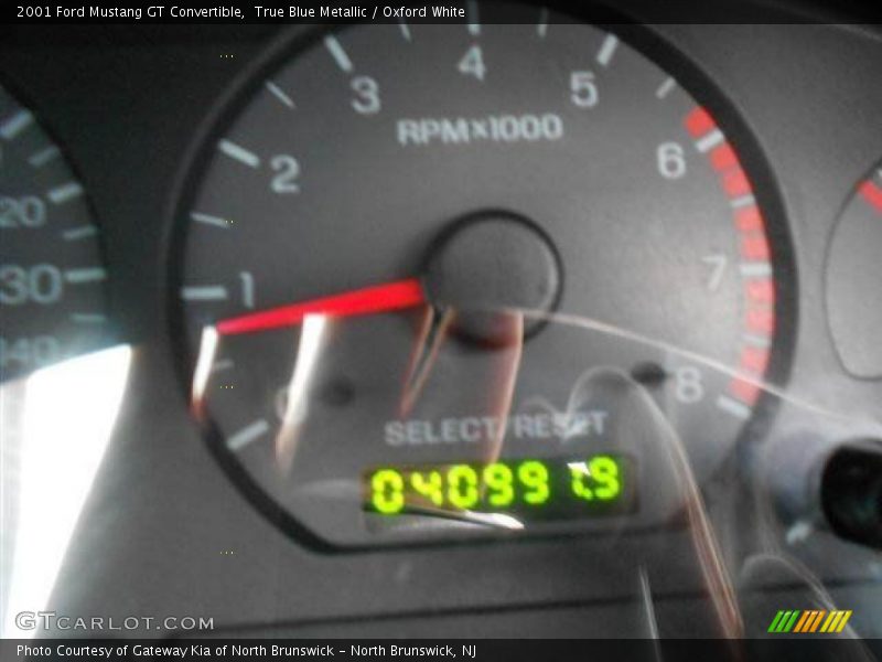 True Blue Metallic / Oxford White 2001 Ford Mustang GT Convertible