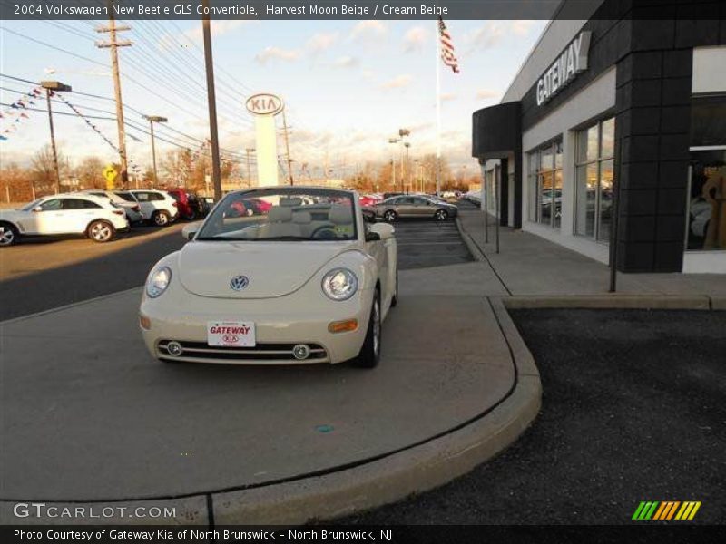 Harvest Moon Beige / Cream Beige 2004 Volkswagen New Beetle GLS Convertible