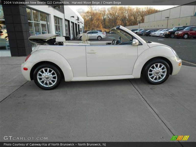  2004 New Beetle GLS Convertible Harvest Moon Beige