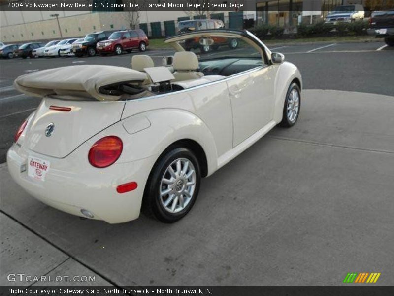Harvest Moon Beige / Cream Beige 2004 Volkswagen New Beetle GLS Convertible