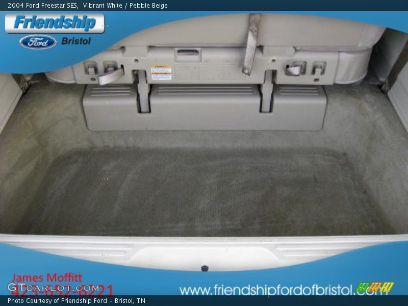 Vibrant White / Pebble Beige 2004 Ford Freestar SES