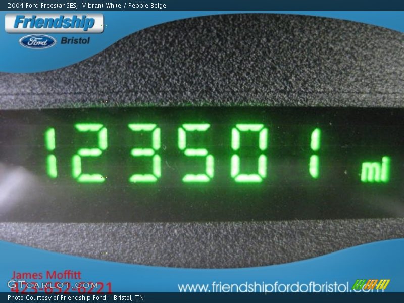 Vibrant White / Pebble Beige 2004 Ford Freestar SES