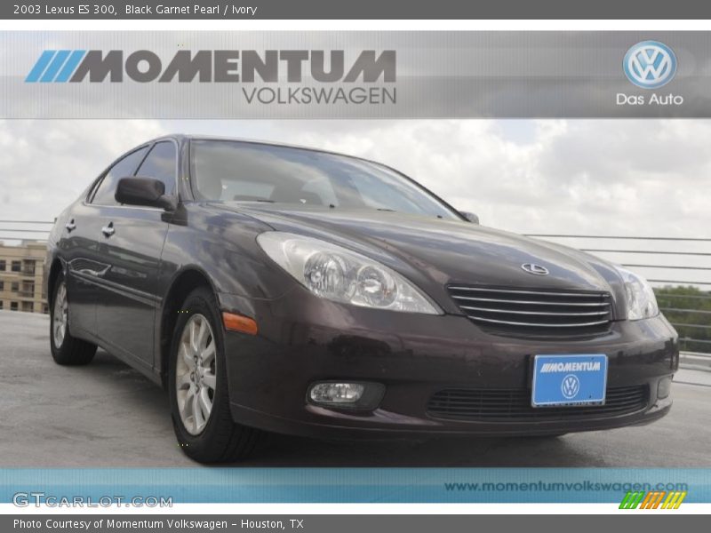 Black Garnet Pearl / Ivory 2003 Lexus ES 300