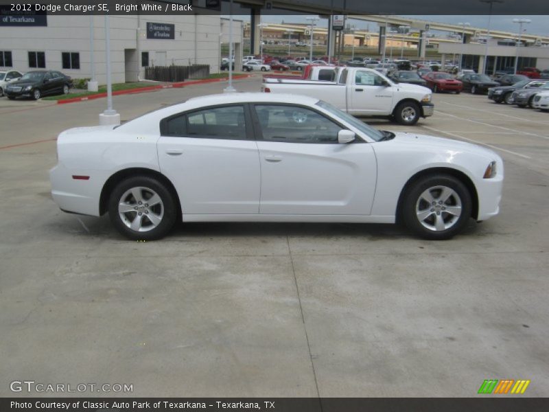 Bright White / Black 2012 Dodge Charger SE