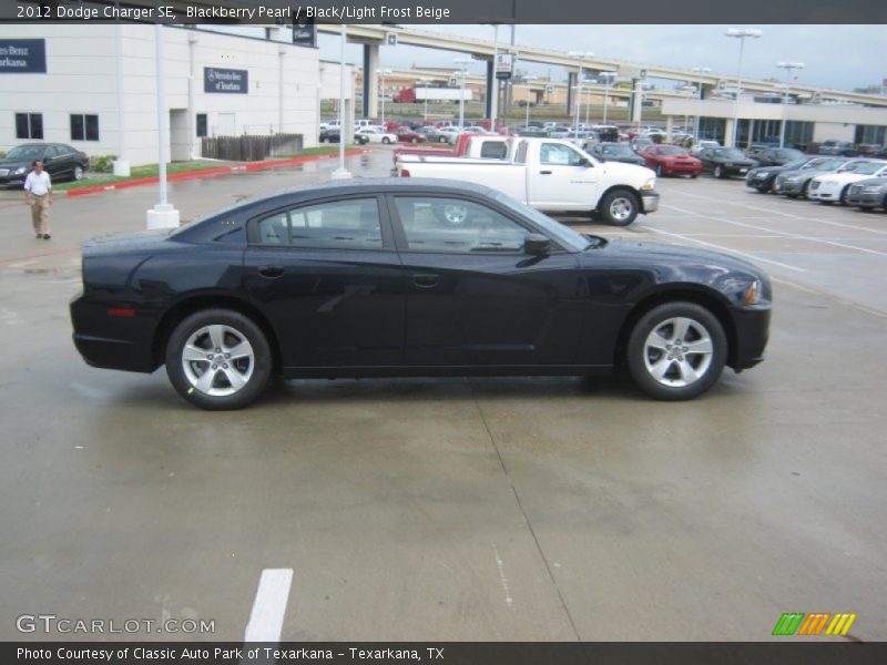 Blackberry Pearl / Black/Light Frost Beige 2012 Dodge Charger SE