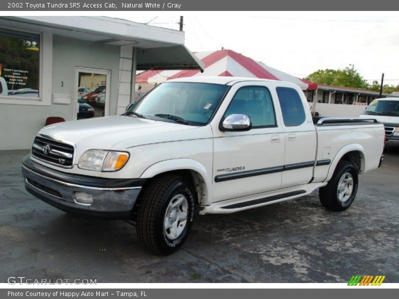 Natural White / Gray 2002 Toyota Tundra SR5 Access Cab