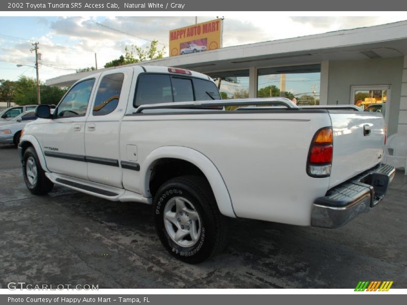 Natural White / Gray 2002 Toyota Tundra SR5 Access Cab