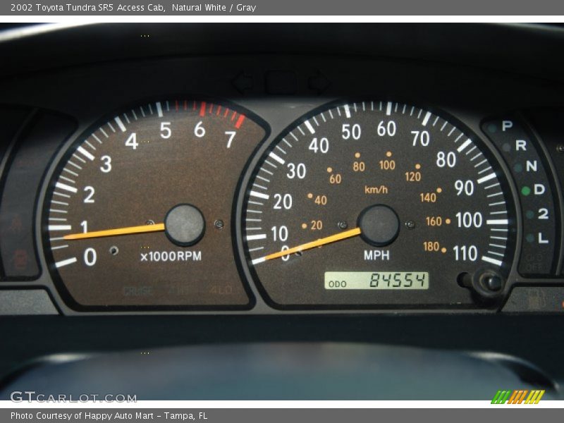 Natural White / Gray 2002 Toyota Tundra SR5 Access Cab