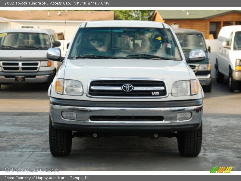 Natural White / Gray 2002 Toyota Tundra SR5 Access Cab