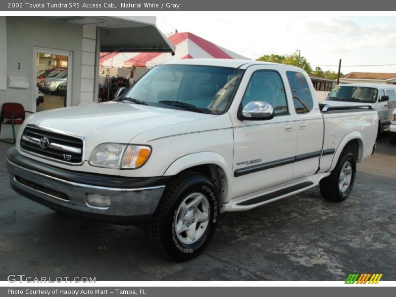 Natural White / Gray 2002 Toyota Tundra SR5 Access Cab