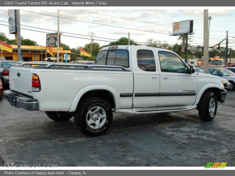 Natural White / Gray 2002 Toyota Tundra SR5 Access Cab