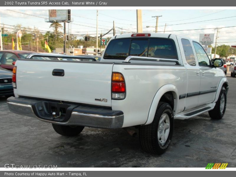 Natural White / Gray 2002 Toyota Tundra SR5 Access Cab