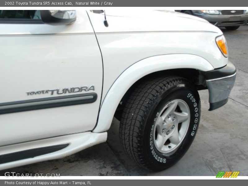 Natural White / Gray 2002 Toyota Tundra SR5 Access Cab