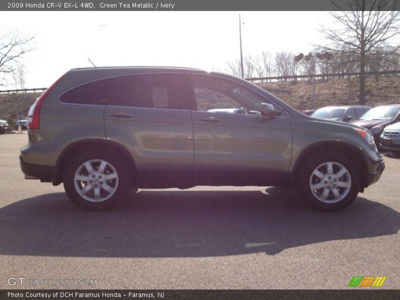 Green Tea Metallic / Ivory 2009 Honda CR-V EX-L 4WD