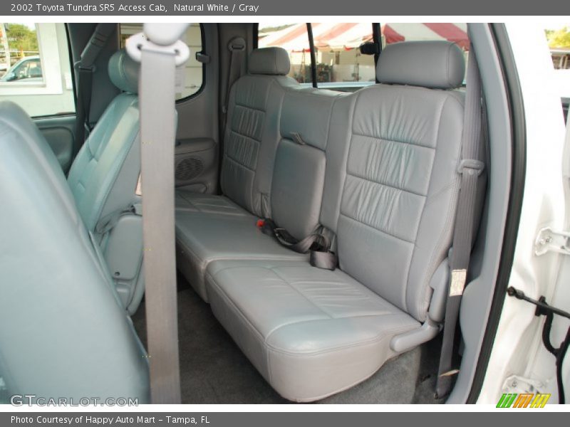 Natural White / Gray 2002 Toyota Tundra SR5 Access Cab