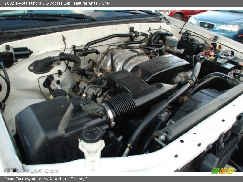 Natural White / Gray 2002 Toyota Tundra SR5 Access Cab