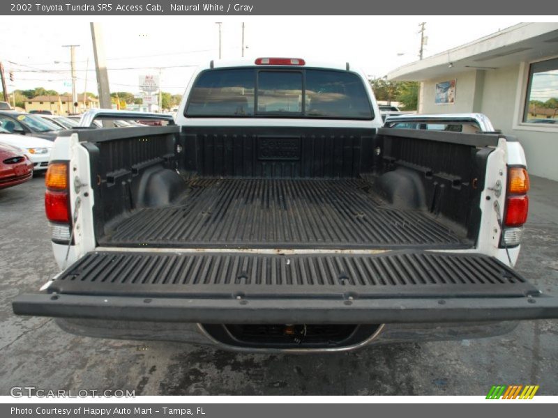 Natural White / Gray 2002 Toyota Tundra SR5 Access Cab