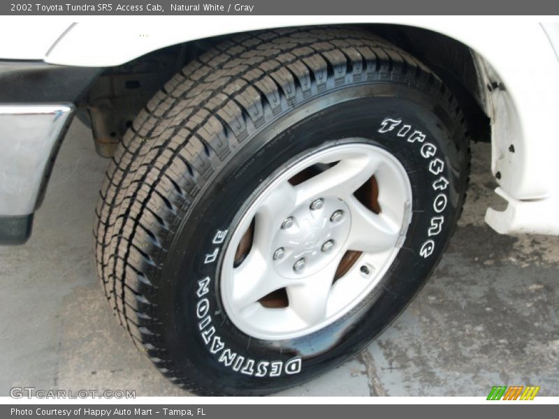 Natural White / Gray 2002 Toyota Tundra SR5 Access Cab