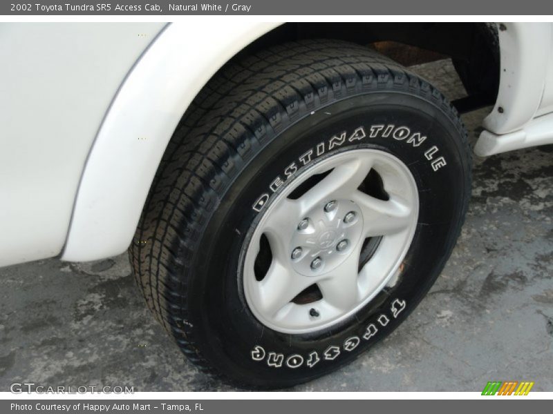 Natural White / Gray 2002 Toyota Tundra SR5 Access Cab