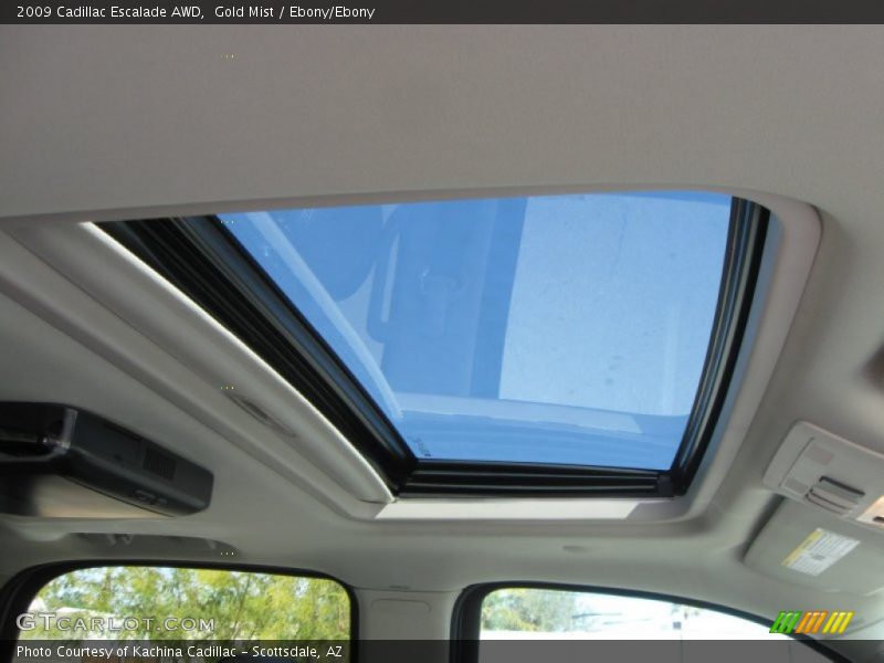 Gold Mist / Ebony/Ebony 2009 Cadillac Escalade AWD