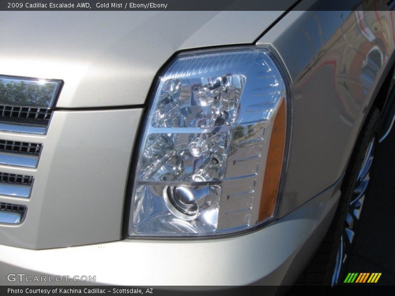 Gold Mist / Ebony/Ebony 2009 Cadillac Escalade AWD