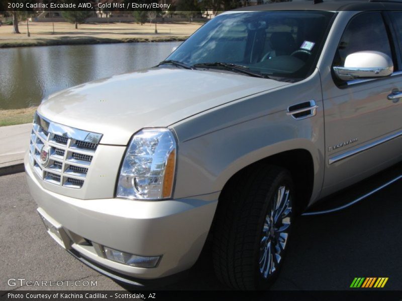 Gold Mist / Ebony/Ebony 2009 Cadillac Escalade AWD