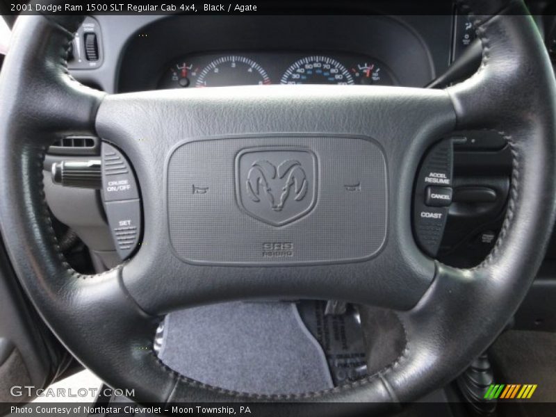 Black / Agate 2001 Dodge Ram 1500 SLT Regular Cab 4x4