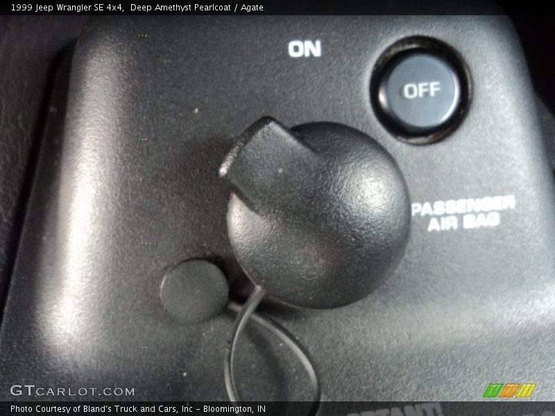 Deep Amethyst Pearlcoat / Agate 1999 Jeep Wrangler SE 4x4