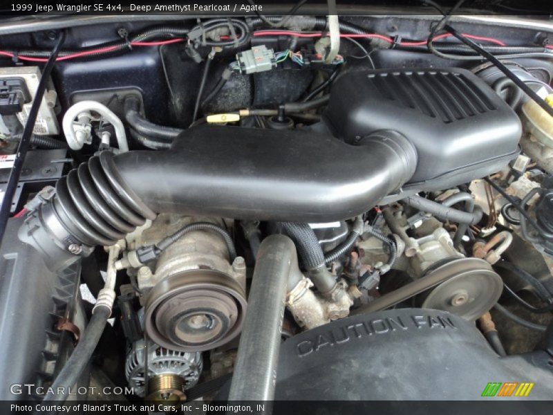 Deep Amethyst Pearlcoat / Agate 1999 Jeep Wrangler SE 4x4