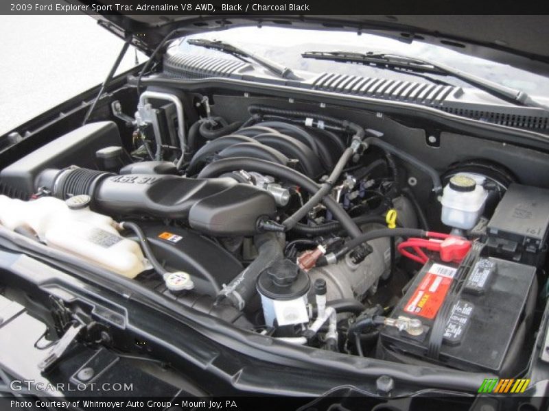  2009 Explorer Sport Trac Adrenaline V8 AWD Engine - 4.6 Liter SOHC 24-Valve VVT V8