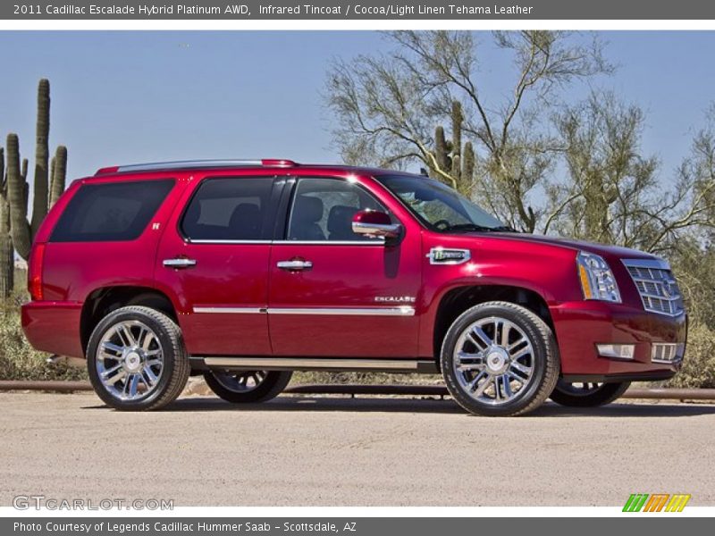  2011 Escalade Hybrid Platinum AWD Infrared Tincoat