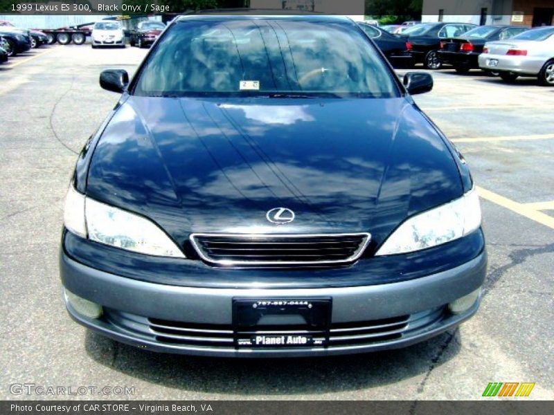 Black Onyx / Sage 1999 Lexus ES 300
