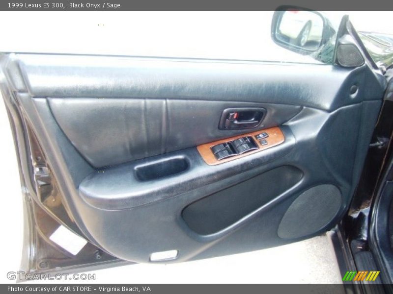 Black Onyx / Sage 1999 Lexus ES 300